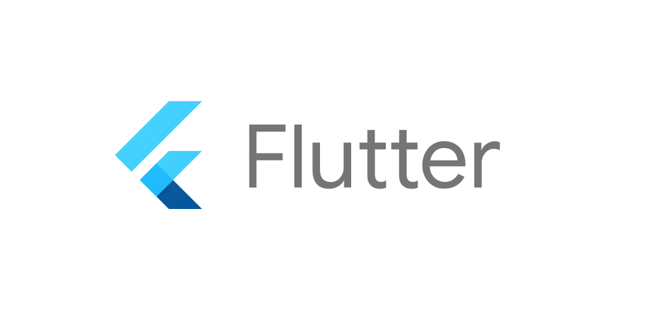 Flutter 이미지 출력